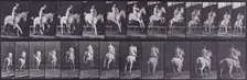 Jumping a hurdle, 1872-1885. Creator: Eadweard J Muybridge