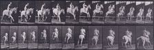 Jumping a hurdle, 1872-1885. Creator: Eadweard J Muybridge