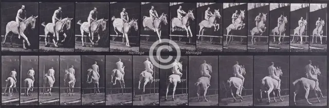 Jumping a hurdle, 1872-1885.  Creator: Eadweard J Muybridge.