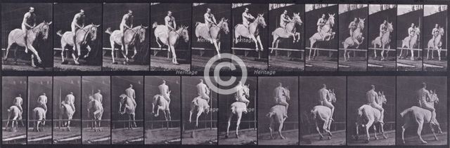 Jumping a hurdle, 1872-1885.  Creator: Eadweard J Muybridge.
