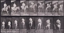 Jumping a hurdle, 1872-1885. Creator: Eadweard J Muybridge