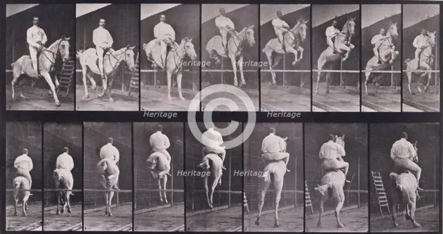 Jumping a hurdle, 1872-1885.  Creator: Eadweard J Muybridge.