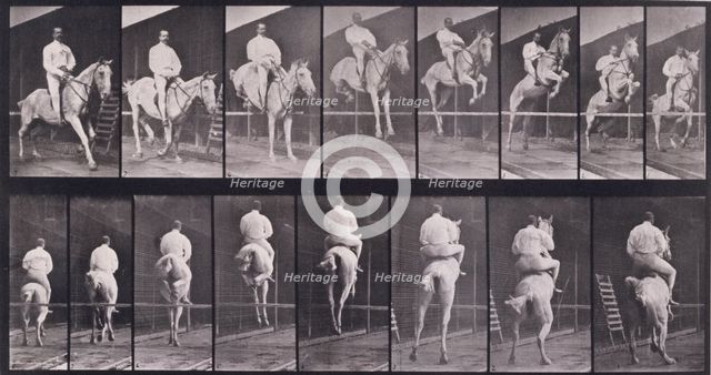 Jumping a hurdle, 1872-1885.  Creator: Eadweard J Muybridge.