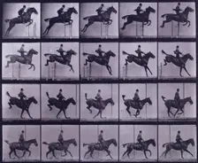 Jumping a hurdle, 1872-1885. Creator: Eadweard J Muybridge