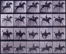 Jumping a hurdle, 1872-1885. Creator: Eadweard J Muybridge