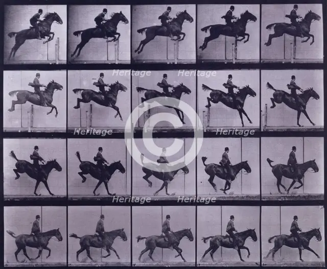 Jumping a hurdle,  1872-1885. Creator: Eadweard J Muybridge.