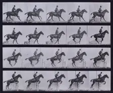 Jumping a hurdle, 1872-1885. Creator: Eadweard J Muybridge