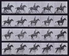 Jumping a hurdle, 1872-1885. Creator: Eadweard J Muybridge