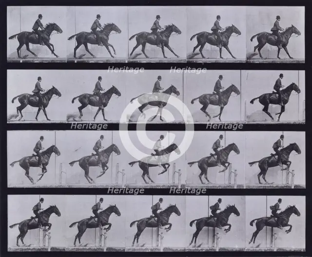 Jumping a hurdle, 1872-1885.  Creator: Eadweard J Muybridge.