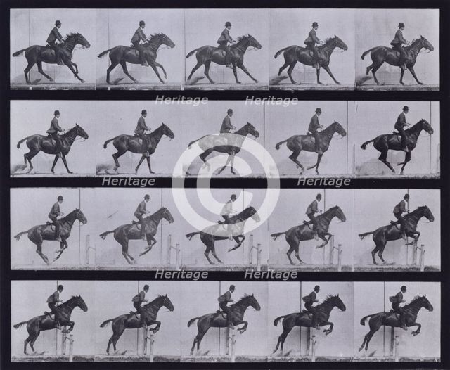 Jumping a hurdle, 1872-1885.  Creator: Eadweard J Muybridge.