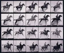 Jumping a hurdle, 1872-1885. Creator: Eadweard J Muybridge