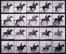 Jumping a hurdle, 1872-1885. Creator: Eadweard J Muybridge