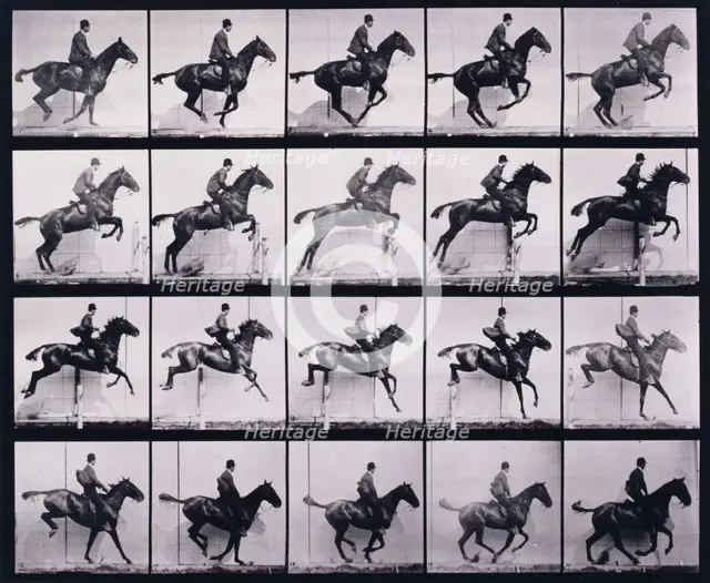 Jumping a hurdle, 1872-1885.  Creator: Eadweard J Muybridge.