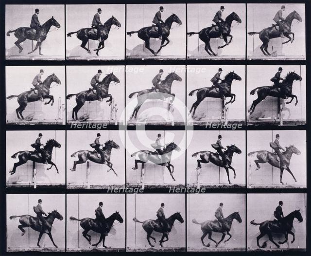 Jumping a hurdle, 1872-1885.  Creator: Eadweard J Muybridge.