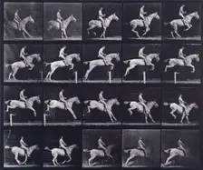 Jumping a hurdle, 1872-1885. Creator: Eadweard J Muybridge