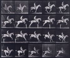 Jumping a hurdle, 1872-1885. Creator: Eadweard J Muybridge