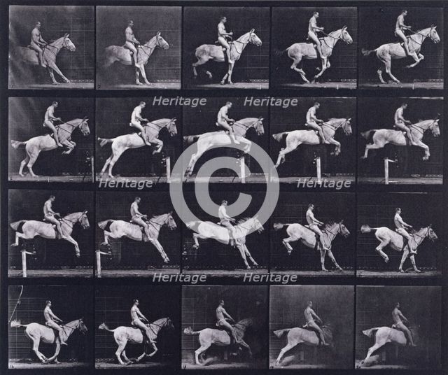 Jumping a hurdle, 1872-1885.   Creator: Eadweard J Muybridge.