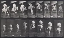Jumping a hurdle, 1872-1885. Creator: Eadweard J Muybridge