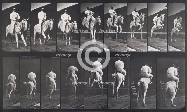 Jumping a hurdle, 1872-1885.   Creator: Eadweard J Muybridge.