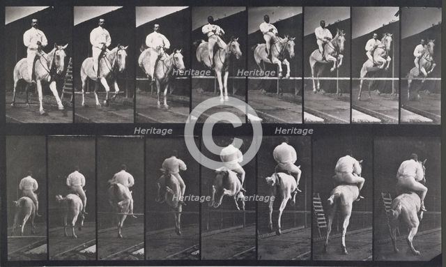 Jumping a hurdle, 1872-1885.   Creator: Eadweard J Muybridge.