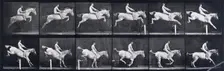 Jumping a hurdle , 1872-1885. Creator: Eadweard J Muybridge