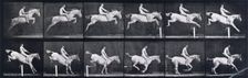 Jumping a hurdle , 1872-1885. Creator: Eadweard J Muybridge