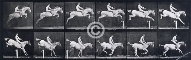 Jumping a hurdle , 1872-1885.   Creator: Eadweard J Muybridge.