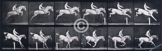 Jumping a hurdle , 1872-1885.   Creator: Eadweard J Muybridge.