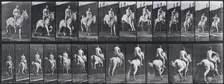 Jumping a hurdle, 1872-1885. Creator: Eadweard J Muybridge