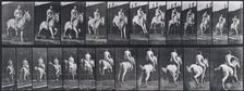 Jumping a hurdle, 1872-1885. Creator: Eadweard J Muybridge