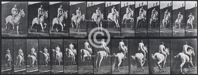 Jumping a hurdle, 1872-1885.   Creator: Eadweard J Muybridge.