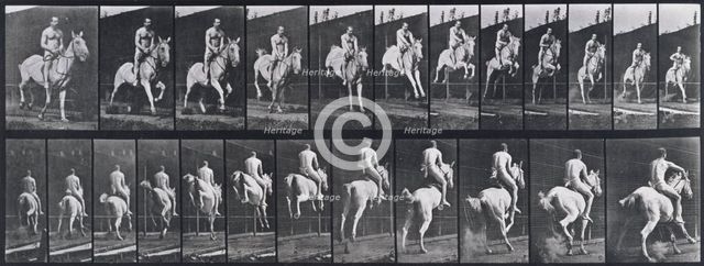 Jumping a hurdle, 1872-1885.   Creator: Eadweard J Muybridge.