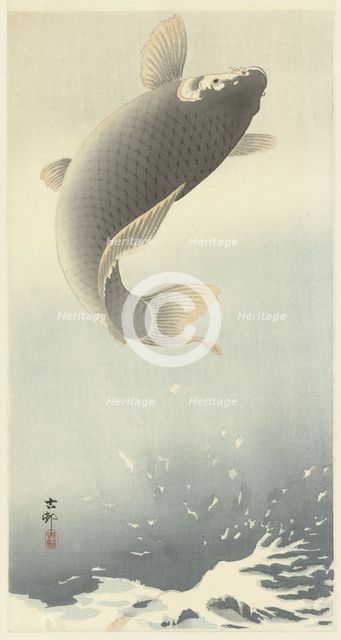 Jumping carp. Creator: Ohara, Koson (1877-1945).