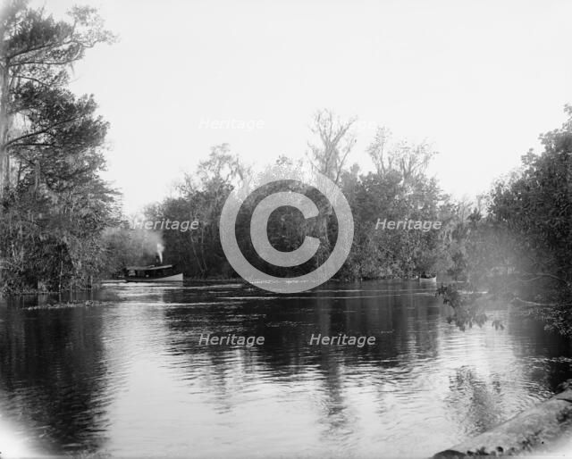 Junction of the Ocklawaha [sic] and Silver Springs rivers, Florida, 1902. Creator: Unknown.