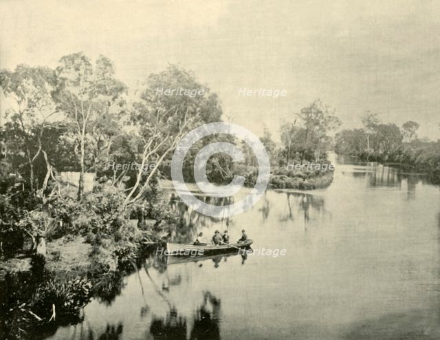 'Junction of the Glengarry & Thompson Rivers, Victoria', 1901. Creator: Unknown.