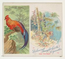 Jungle Fowl, from Birds of the Tropics series (N38) for Allen & Ginter Cigarettes, 1889. Creator: Allen & Ginter