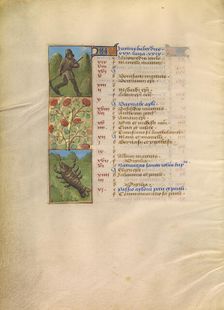 June Calendar Page; Mowing; Cancer; Katherine Hours, about 1480-1485. Creator: Unknown