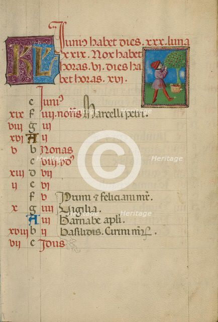 June Calendar Page; Gathering Fruit; Book of Hours, about 1460. Creator: Unknown.