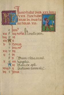 June Calendar Page; Gathering Fruit; Book of Hours, about 1460. Creator: Unknown