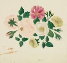 June Roses. Creator: Mary Altha Nims (American, 1817-1907)