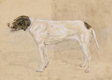 Juno the dog, 1819. Creator: John Frederick Lewis