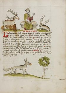 Jupiter as a Elderly Bearded Man Enthroned between a Stag and a Hare..., third quarter of 15th cent. Creator: Unknown