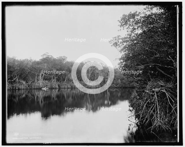 Jupiter Narrows, between 1880 and 1897. Creator: William H. Jackson.