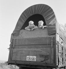 Just arrived from Kansas, near Merrill, Klamath County, Oregon, 1939. Creator: Dorothea Lange