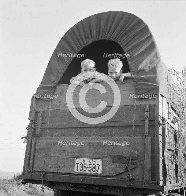 Just arrived from Kansas, near Merrill, Klamath County, Oregon, 1939. Creator: Dorothea Lange.