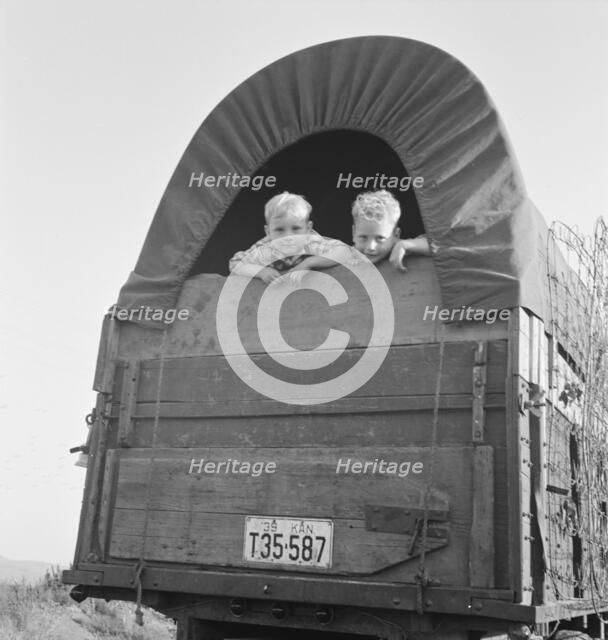 Just arrived from Kansas, near Merrill, Klamath County, Oregon, 1939. Creator: Dorothea Lange.