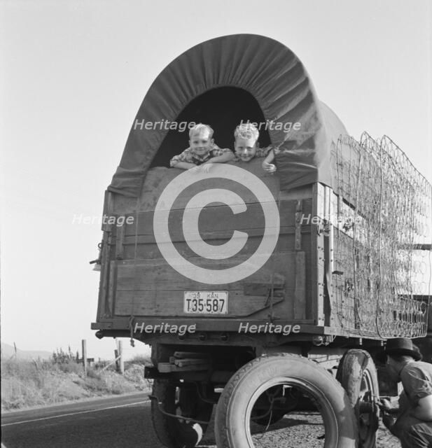 Just arrived from Kansas, on highway going to potato..., near Merrill, Klamath County, Oregon, 1939. Creator: Dorothea Lange.