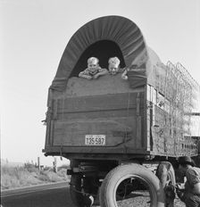Just arrived from Kansas, on highway going to potato..., near Merrill, Klamath County, Oregon, 1939. Creator: Dorothea Lange