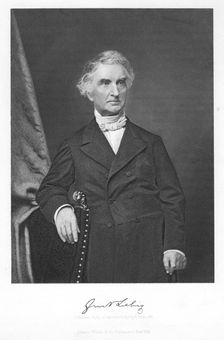 Justus von Liebig, 19th century German chemist. Creator: Unknown