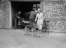 K Baker. Artist: Bill Brunell